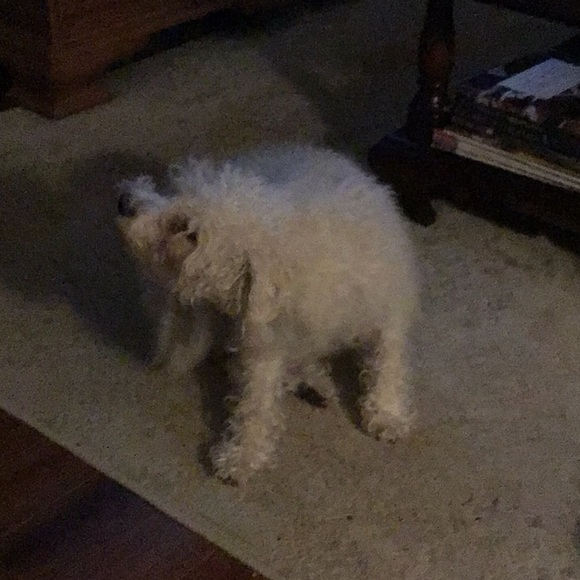 Meet your Posher, Wendy - Picture 1 of 1